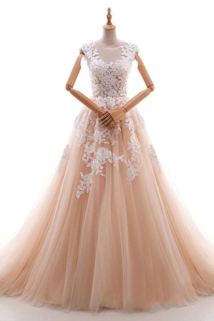 Elegant Tulle Cathedral Train A-line Wedding Dress with Applique