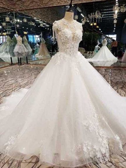 Elegant Appliques Tulle Ball Gown Wedding Dress with Delicate Details