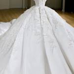 Charming Ball Gown V-Neck Wide Strap Short Train Tulle Applique Wedding Dress