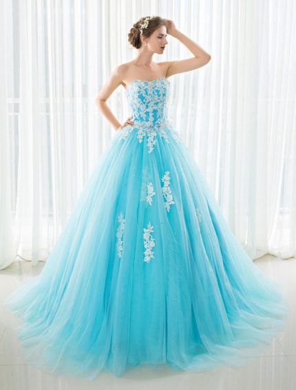 Stunning Blue Tulle A-Line Wedding Dress with Natural Waistline and Long Sleeves