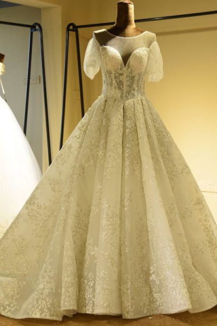 Glorious Short Sleeve Lace Tulle Wedding Dress for a Beautiful Bride