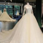 Beautiful A-Line Wedding Dress with Cathedral Train and Appliques