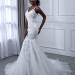 Mermaid Wedding Dresses with Exquisite V-Neck Lace and Tulle Details