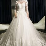 Beautiful Tulle Ball Gown Bridal Dress with Illusion Sleeve High Neckline and Cathedral Train