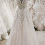 Spaghetti Straps Appliques Tulle Wedding Dress with V Neck in Long A-Line Style