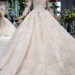 Sheer Neck Ball Gown Lace Long Wedding Dress with Sleeves creating a Princess Look